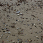 Irland (9)