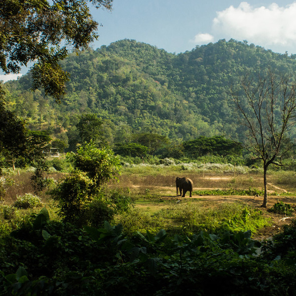 Thailand_2014